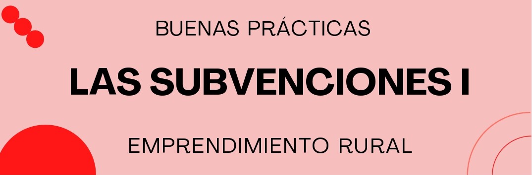 Subvenciones I