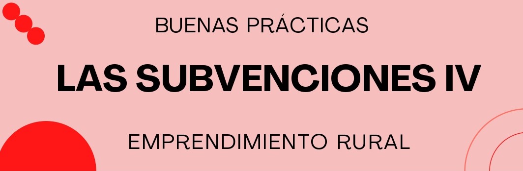 Subvenciones  IV