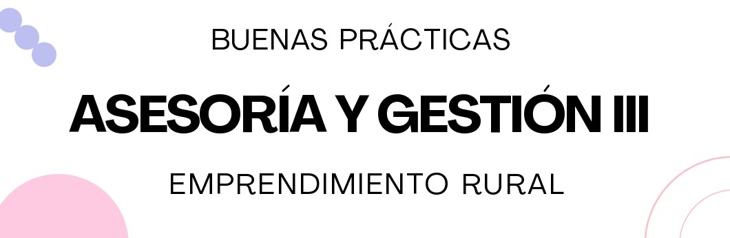 Asesoría y gestión III