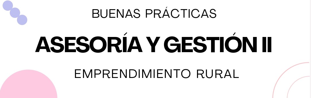 Asesoría y gestión II