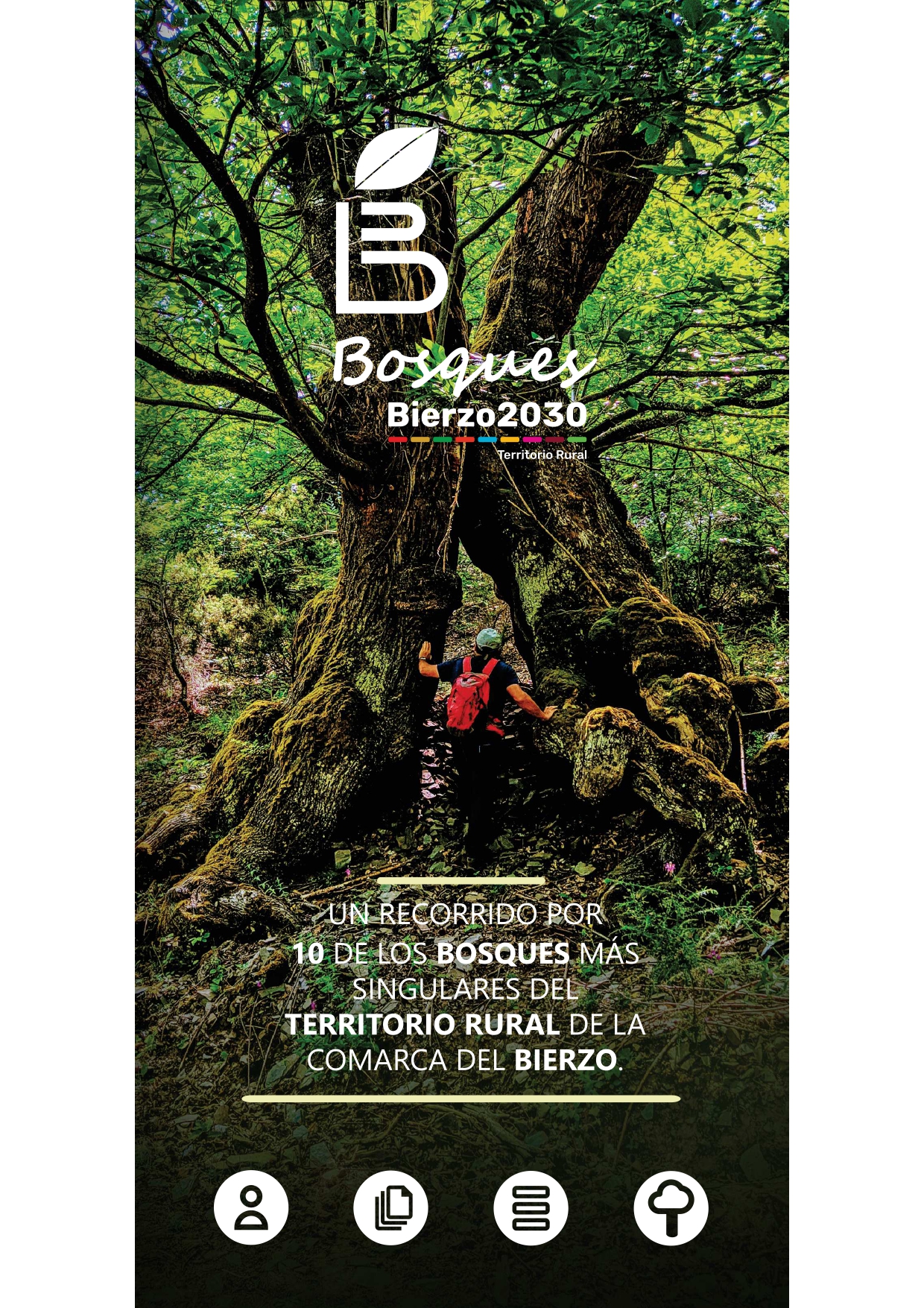 Bosques del Bierzo